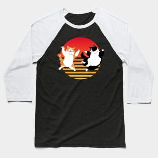 Kung Fu Derpy Cats Baseball T-Shirt